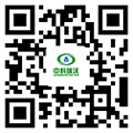 半岛在线登录官网入口